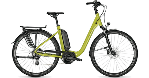 Endeavour 1.B Move E-Bike
