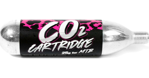 Cartouche  CO2 25G