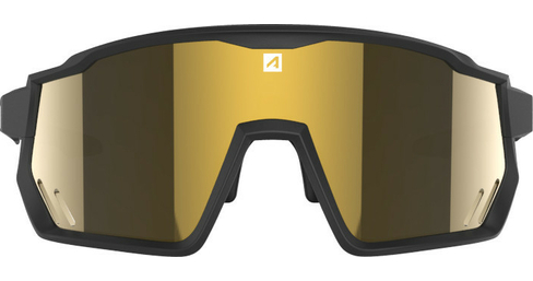 Sportbrille Pro Race RX