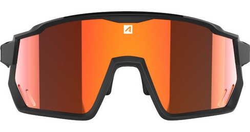 Sportbrille Pro Race RX