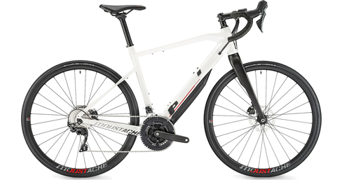 Dimanche 28.3 E-Rennrad 500Wh