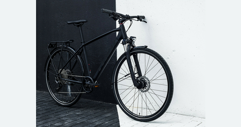 Fitnessbike Dual Sport 3 EQ