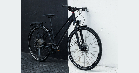Fitnessbike Dual Sport 3 EQ Damen