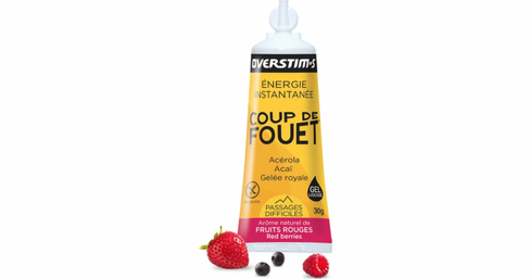 Energie-Gel Coup de Fouet 30g