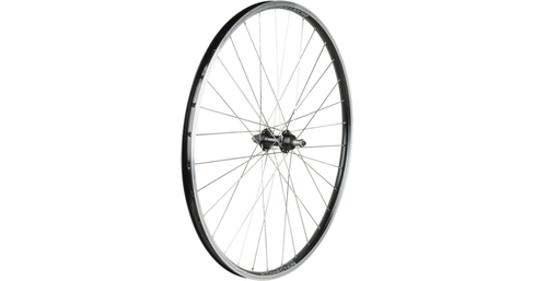 Hinterrad Connection 29" mit Schraubkranzaufnahme