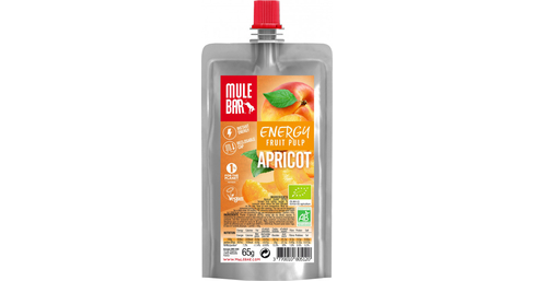 Bio-Fruchtriegel 65 g