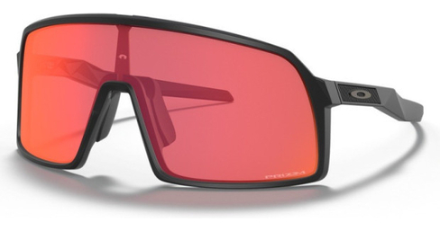 Brille Sutro S Prizm