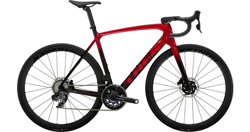 Rennrad Émonda SLR 7 AXS