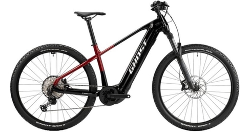 E-Teru B Pro E-Trekkingbike