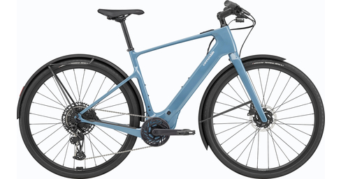 Tesoro Carbon 2 E-Trekkingbike