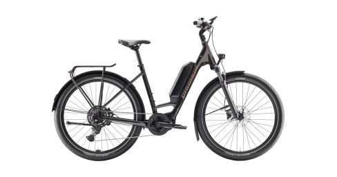 Zing Trip Core 545Wh Wave Tiefeinsteiger