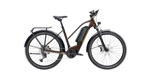 Zing Deluxe Génération 2 Cues 545Wh Tr