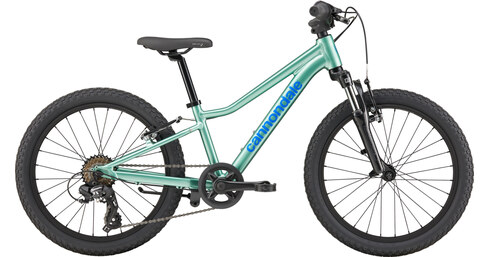 Trail 20"